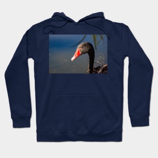 Head and neck of Black swan. Hoodie